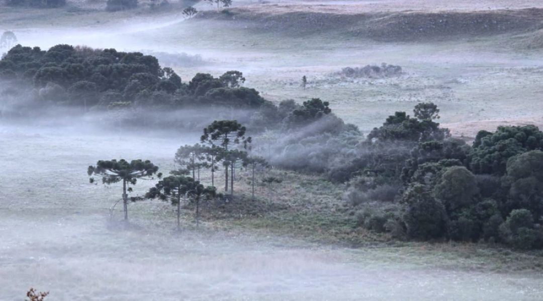 neve em Santa Catarina