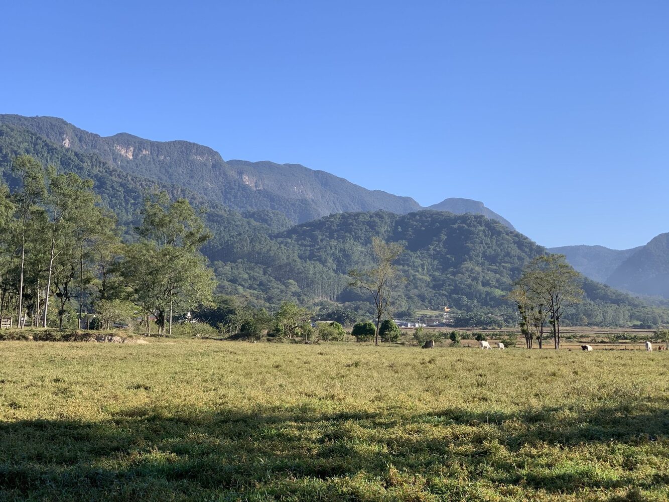 Paisagem rural do Manso com vista para as montanhas em Jaraguá do Sul