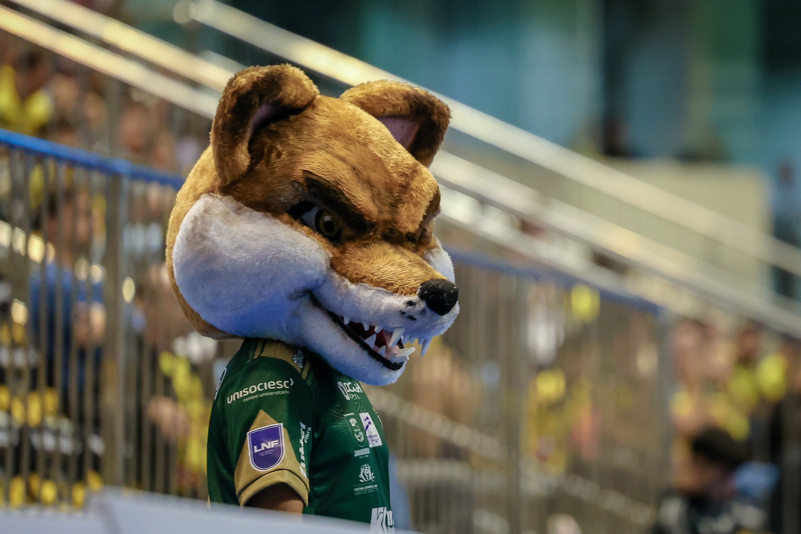 Mascote Raposão com nova cabeça durante jogo do Jaraguá Futsal em 2025