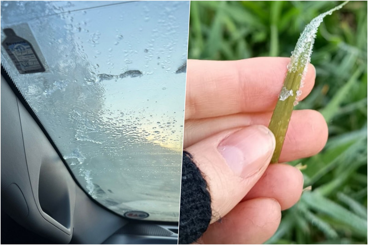 Geada cobre Jaraguá do Sul no amanhecer mais gelado do ano; veja vídeo!