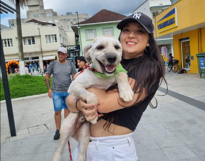 Jovem segura no colo um cachorro sorridente recém-adotado