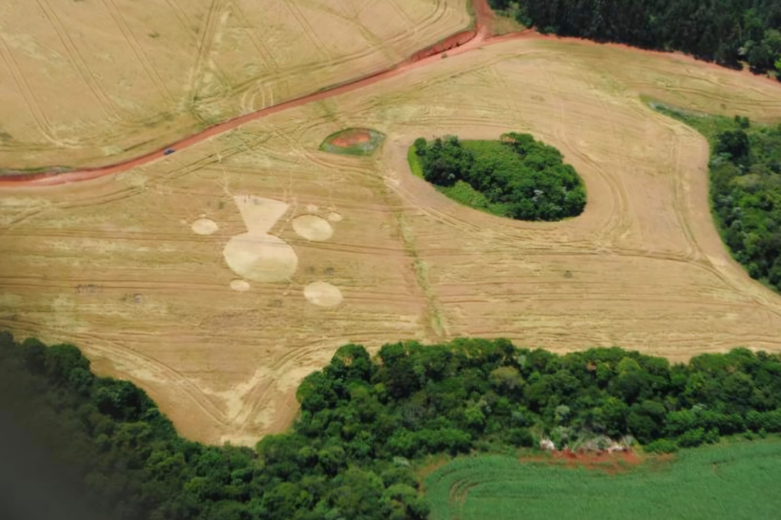 Temporada de agroglifos em SC: o que sabemos sobre os sinais alienígenas que aparecem no estado