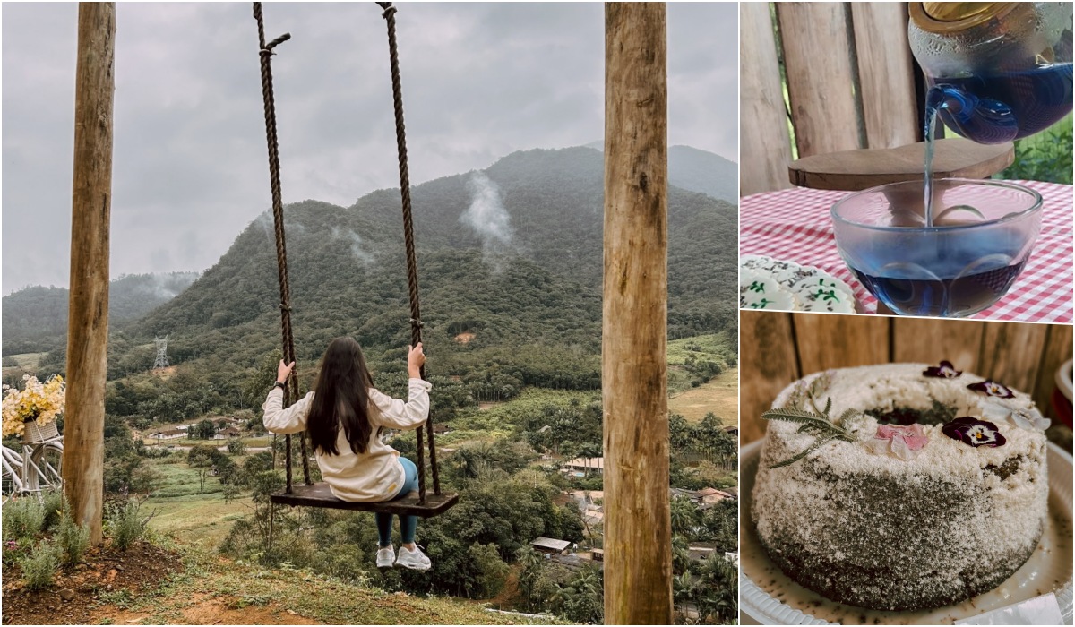 Chá azul e bolo de lavanda? Sítio em Schroeder guarda experiências sensoriais únicas; conheça!