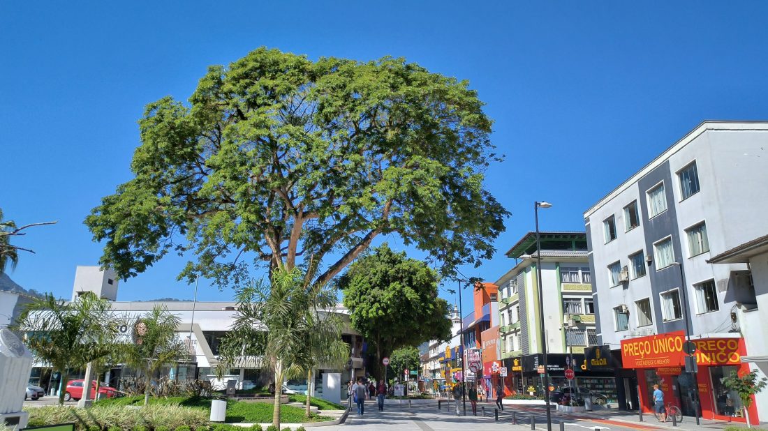 Frio e clima seco? Veja como fica o tempo para esta semana em Jaraguá do Sul