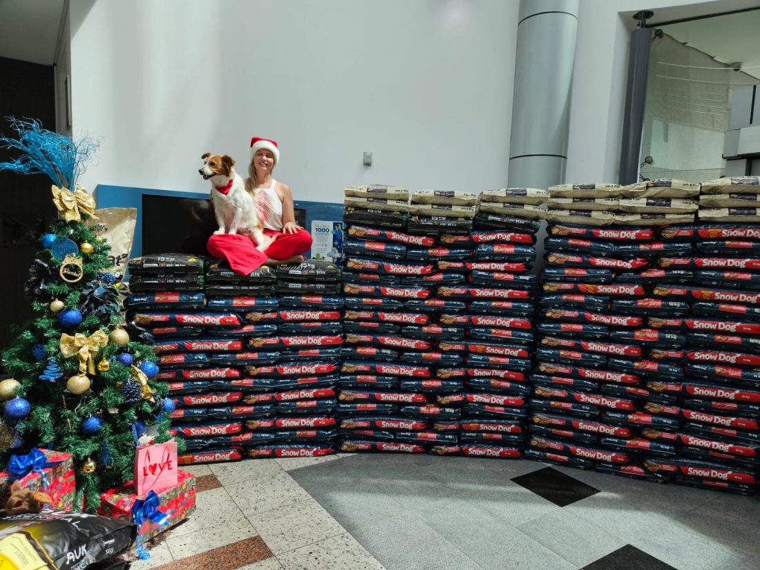 Comércio de Jaraguá se une por uma causa linda: adoção de animais neste Natal