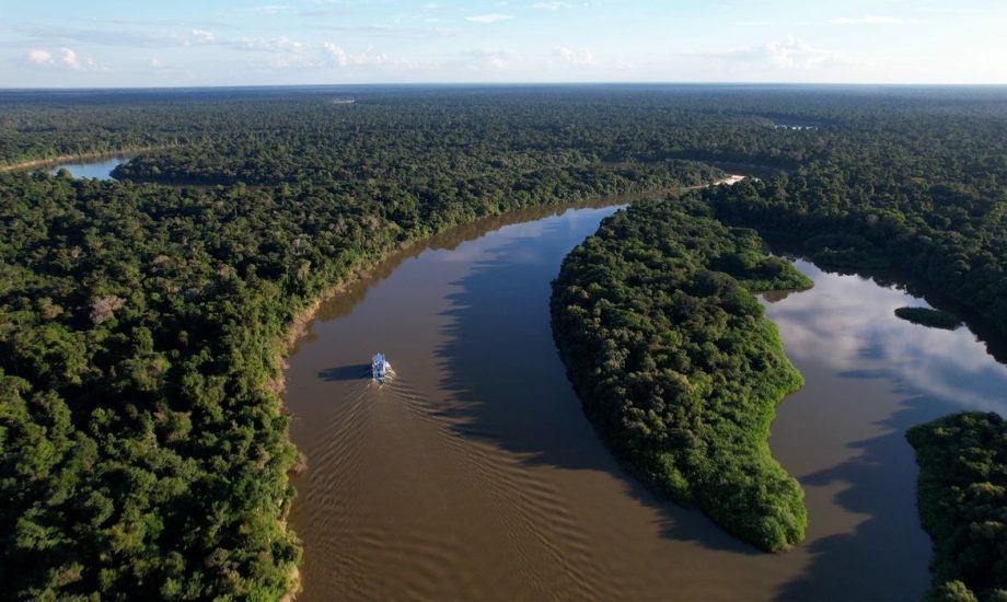Desmatamento na Amazônia tem terceira menor taxa da história