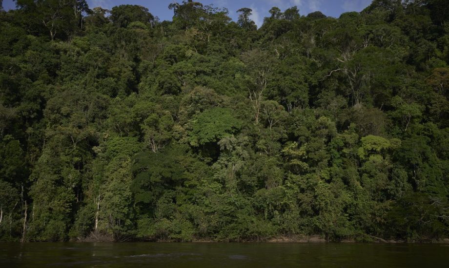 Estudo revela riscos de temperaturas extremas na Amazônia