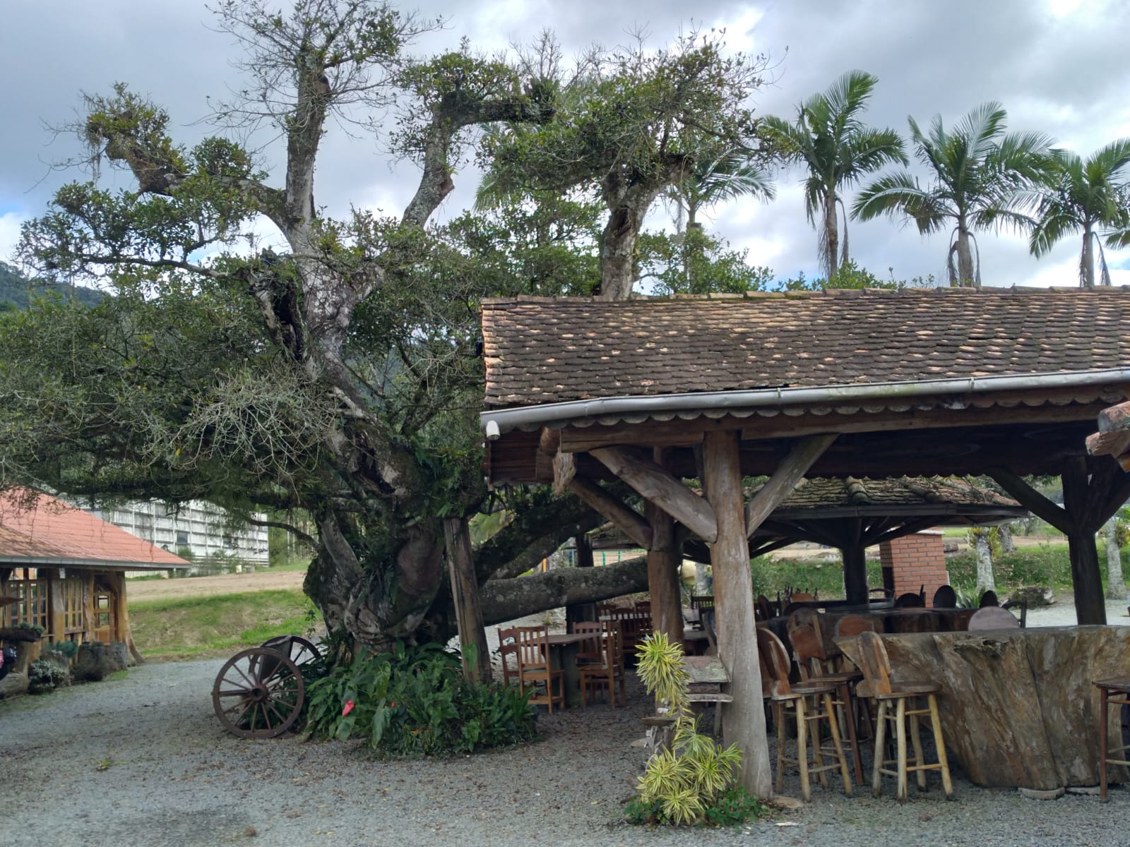 Beleza talhada em madeira: um cenário encantador em Jaraguá do Sul