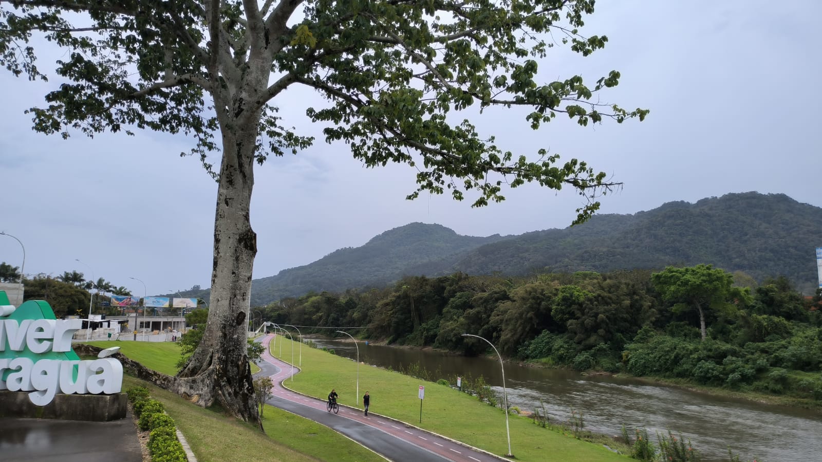 Chuva, frio e ventania? Veja como fica o tempo em Jaraguá nesta semana