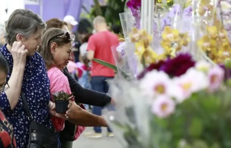 A 85ª festa das Flores começa hoje (18) com programação até domingo em Joinville