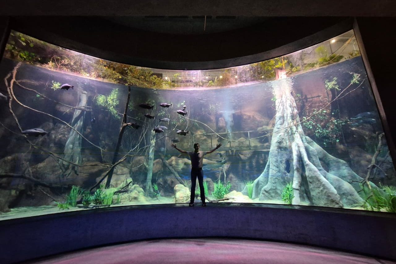 Maior aquário do Sul do Brasil tem estrutura feita com tecnologia de empresa jaraguaense