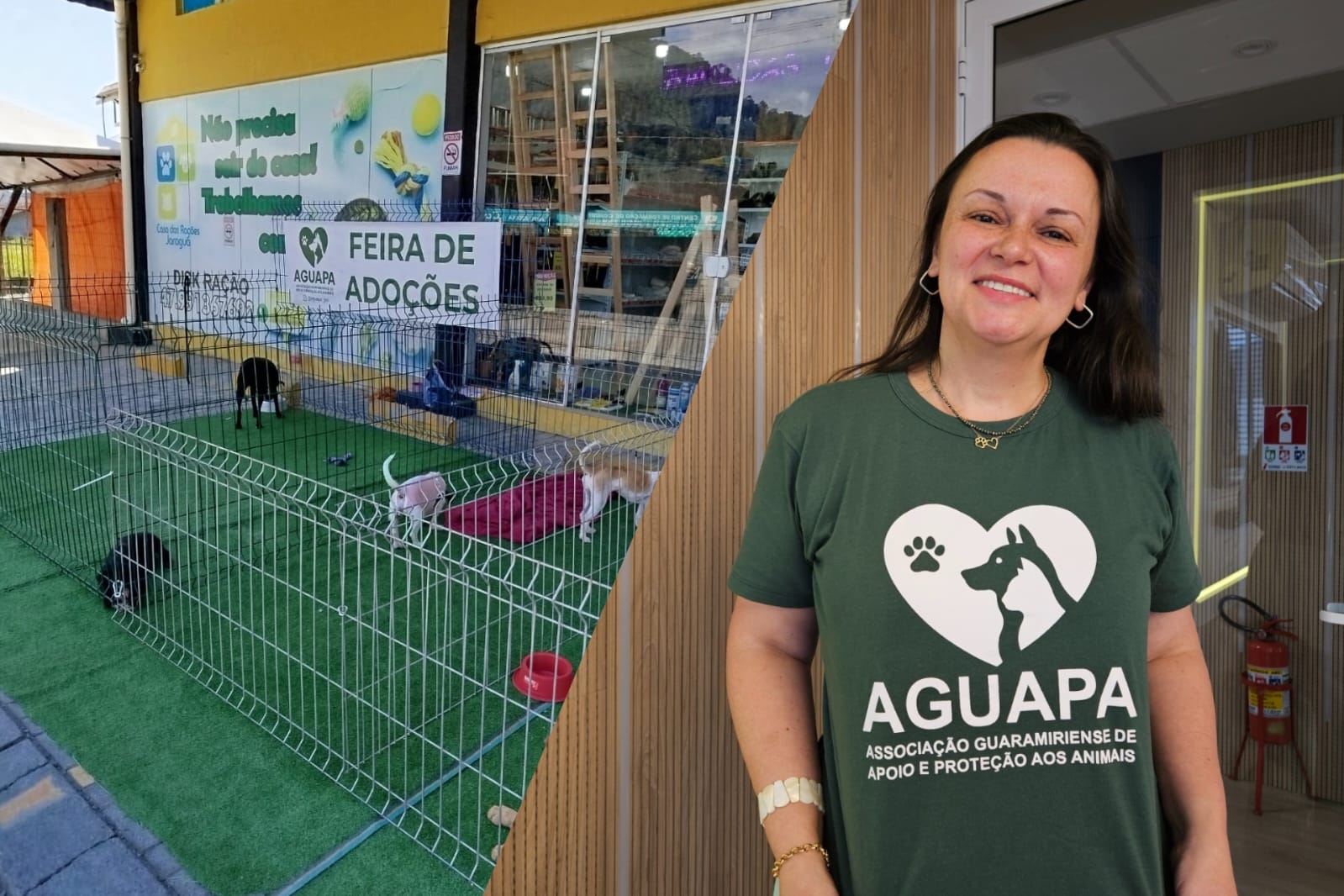 Guaramirim ganha associação de proteção animal e precisa de apoio da comunidade, saiba como ajudar!
