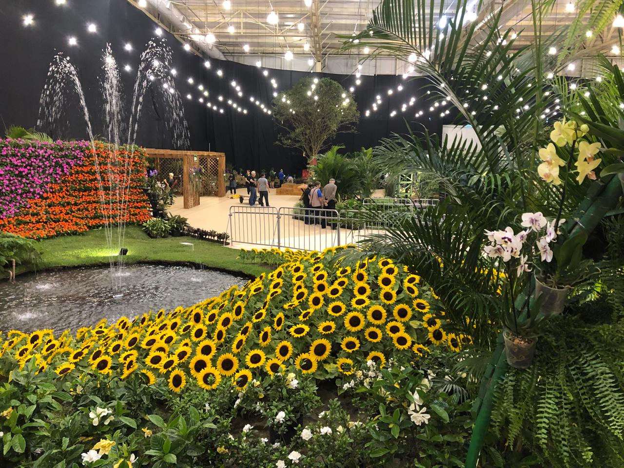 Festa das Flores começa na próxima semana em Joinville; confira os valores dos ingressos!