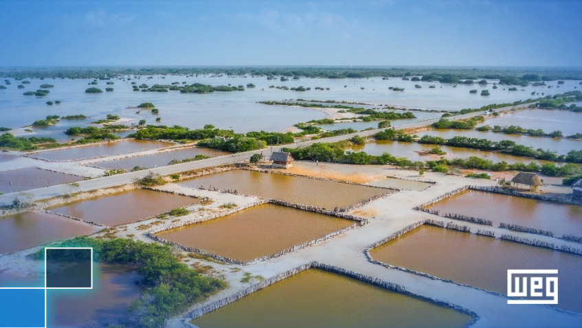 Filial da WEG no Equador leva eficiência energética às fazendas de camarão