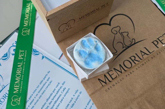 Memorial para pets em Corupá transforma o luto em memória viva para tutores da região