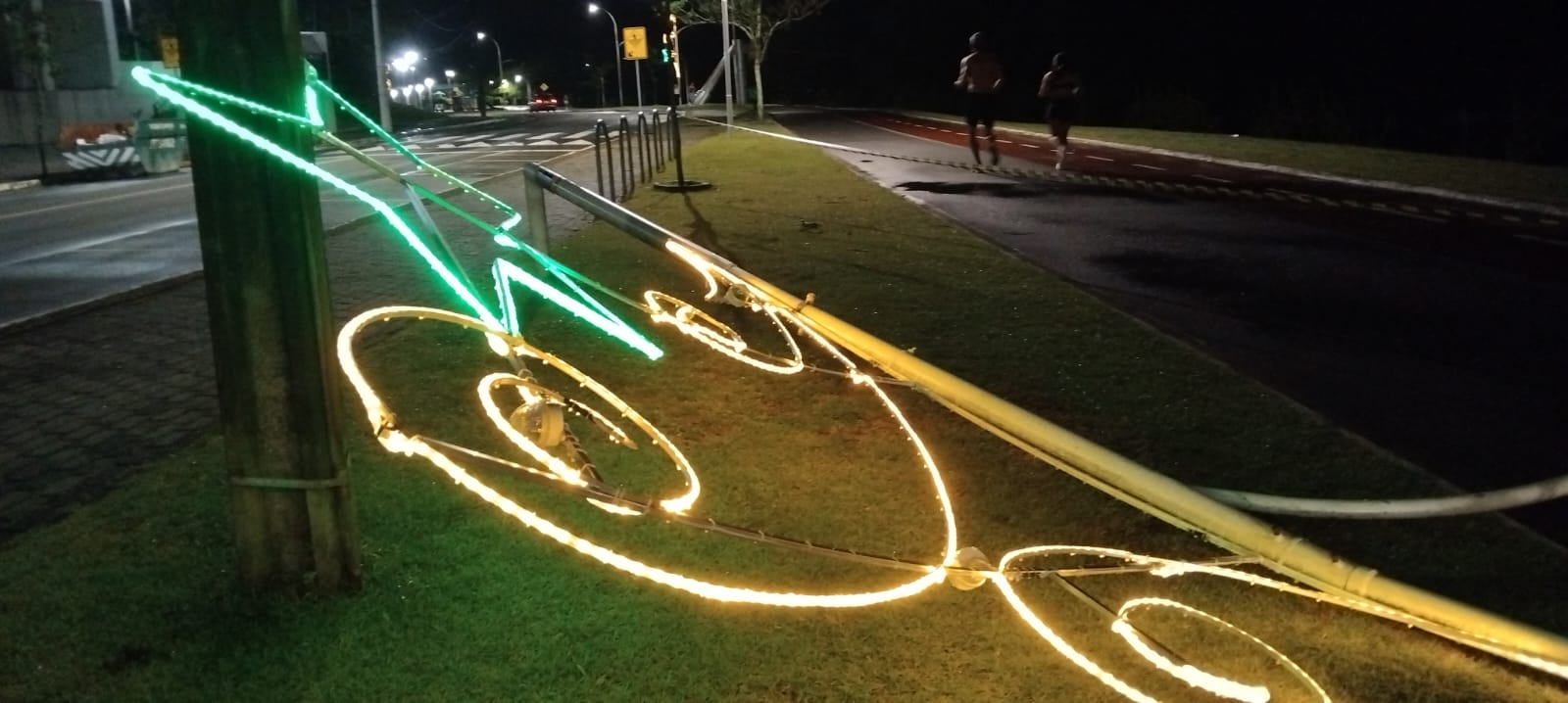 Chuva e vento derrubam árvore e quatro postes na Via Verde, em Jaraguá do Sul; veja fotos