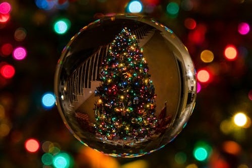 Baile natalino em Jaraguá vai receber Paulinho Mocelin e Talagaço; saiba mais!