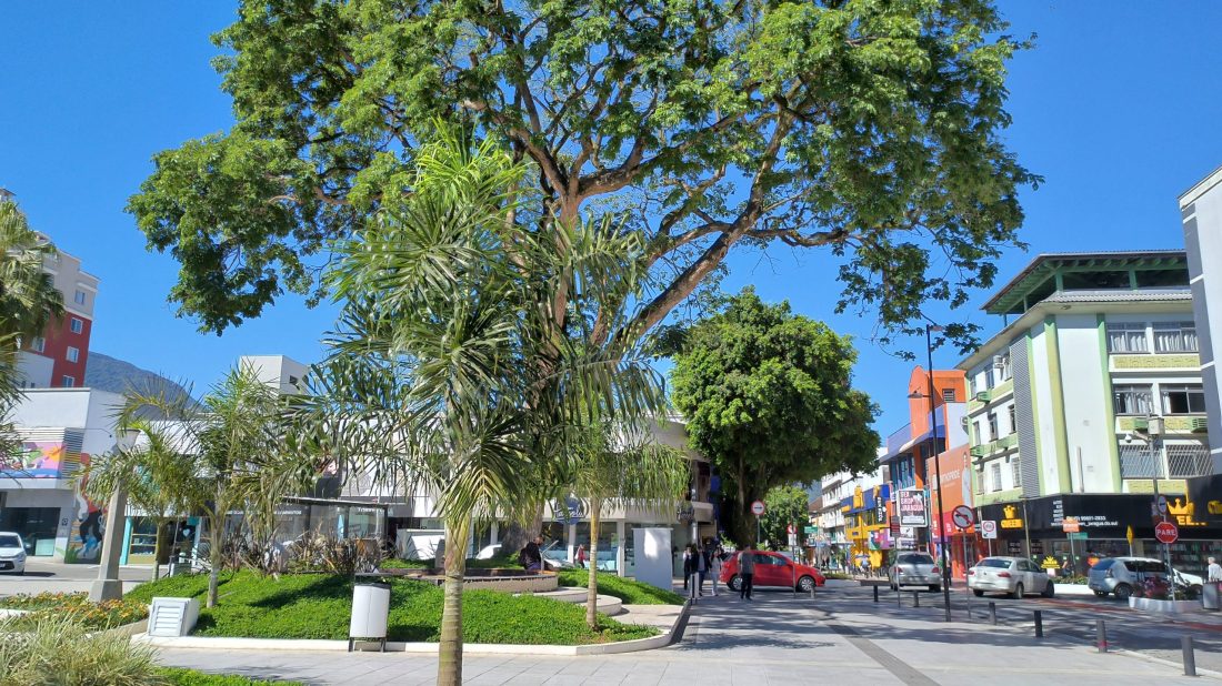 Sol, calor intenso e pancadas de chuva: veja como fica a previsão do tempo para o Natal em Jaraguá do Sul