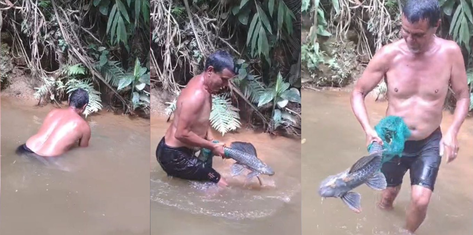“Tem que tirar o chapéu”: pescador de Jaraguá do Sul vira destaque ao pegar peixe com as mãos