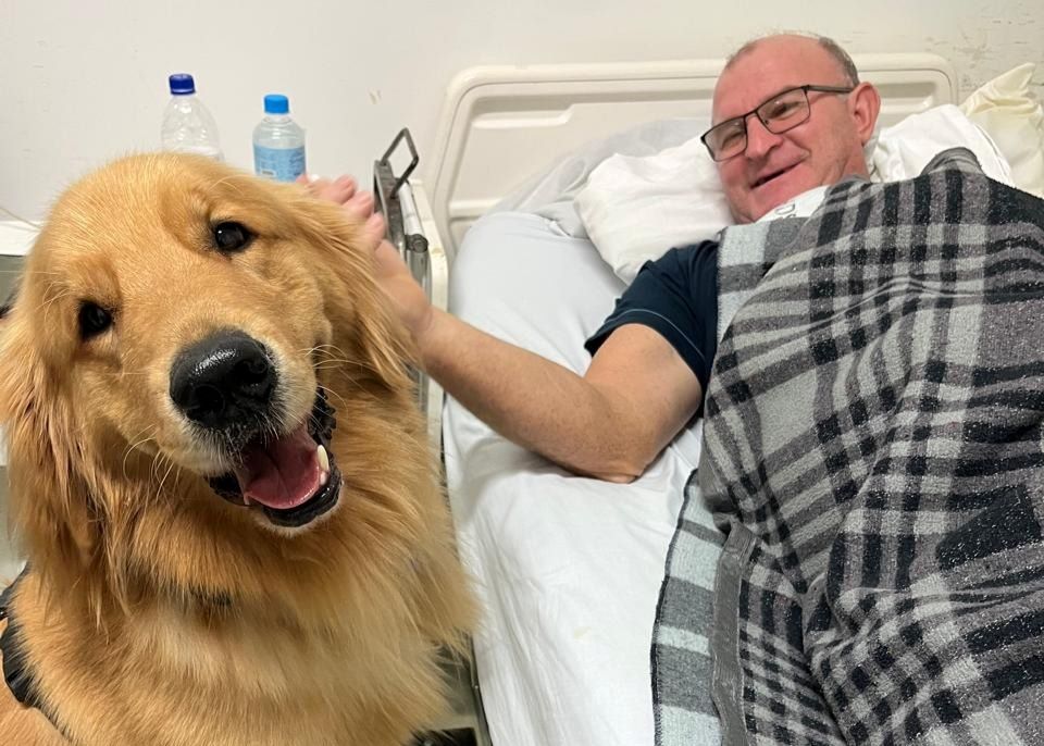 Conheça Polenta, o cão terapeuta que leva amor e esperança em hospital de SC