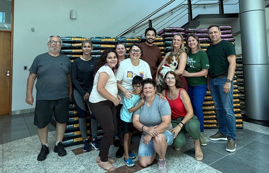 Campanha Árvore Pet Solidária arrecada mais de 4,5 toneladas de doações para ONGs de proteção animal