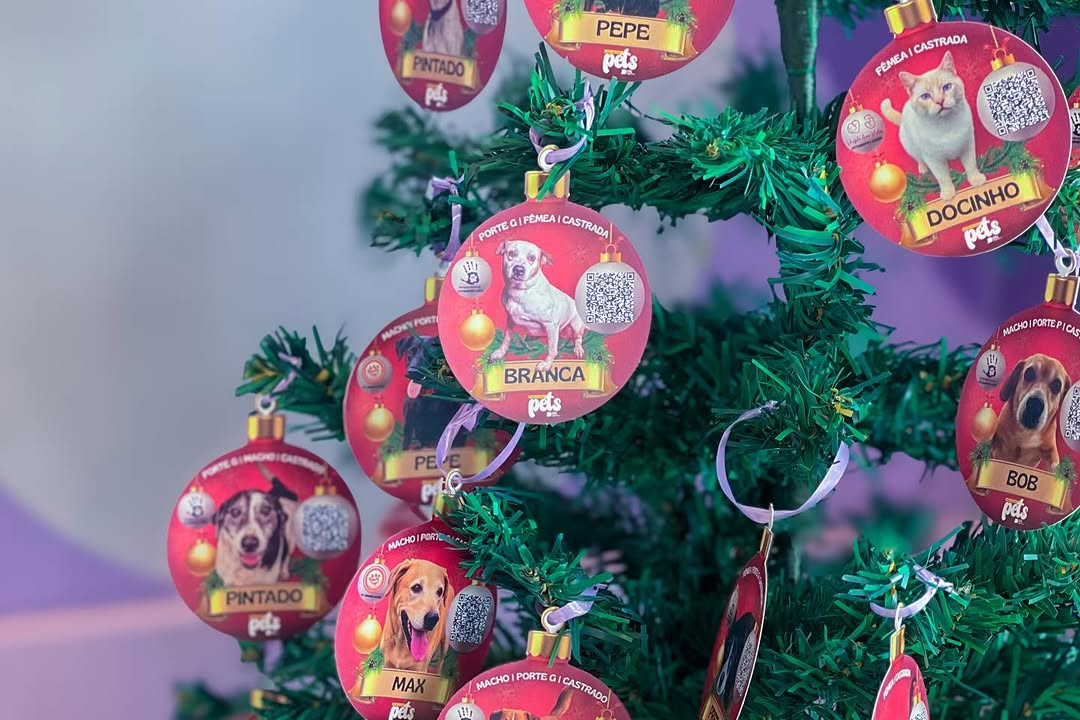 ‘Me leva pra casa?’: veja 12 bichinhos que esperam por adoção neste Natal em Jaraguá