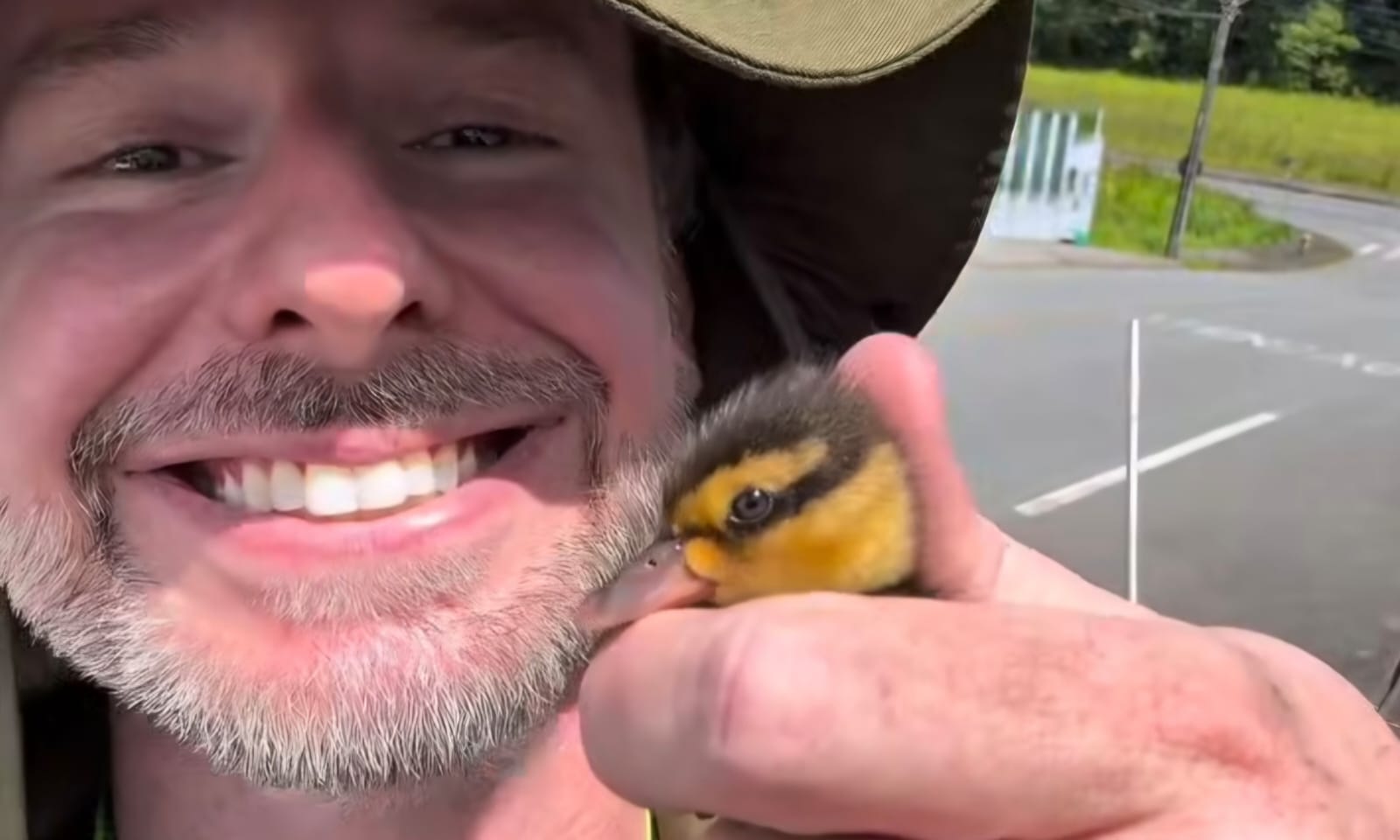Filhotes de pato caem em bueiro e são salvos por biólogo em Jaraguá do Sul