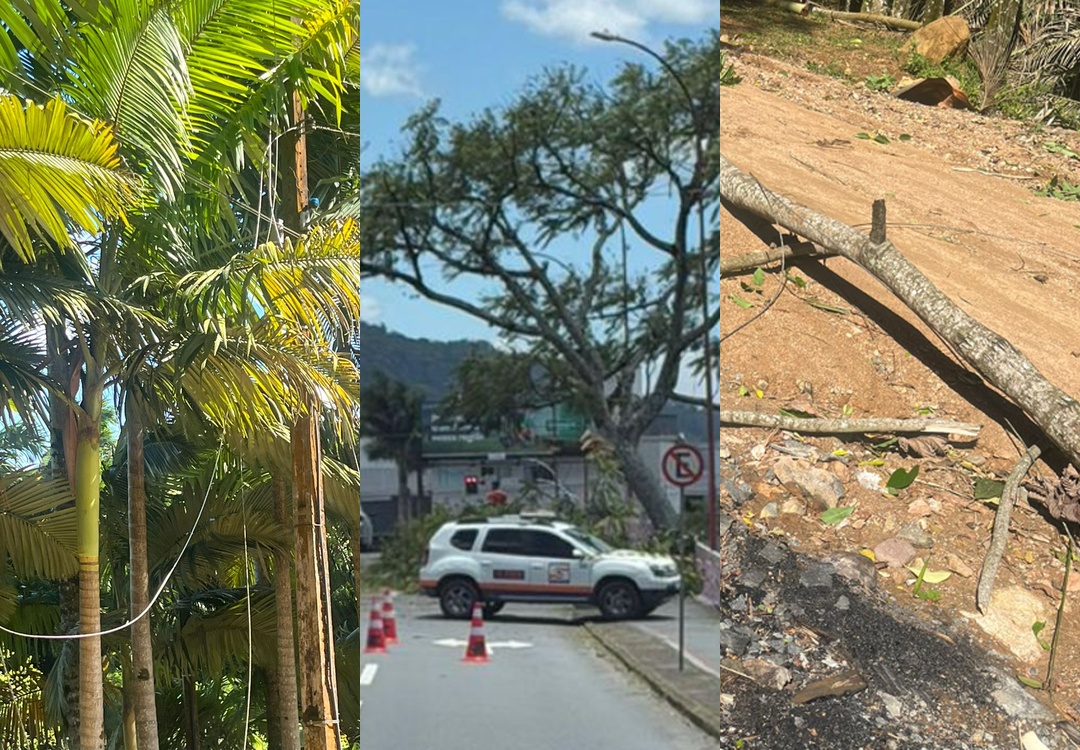 Milhares de imóveis de Jaraguá do Sul registram falta de energia após passagem de ciclone