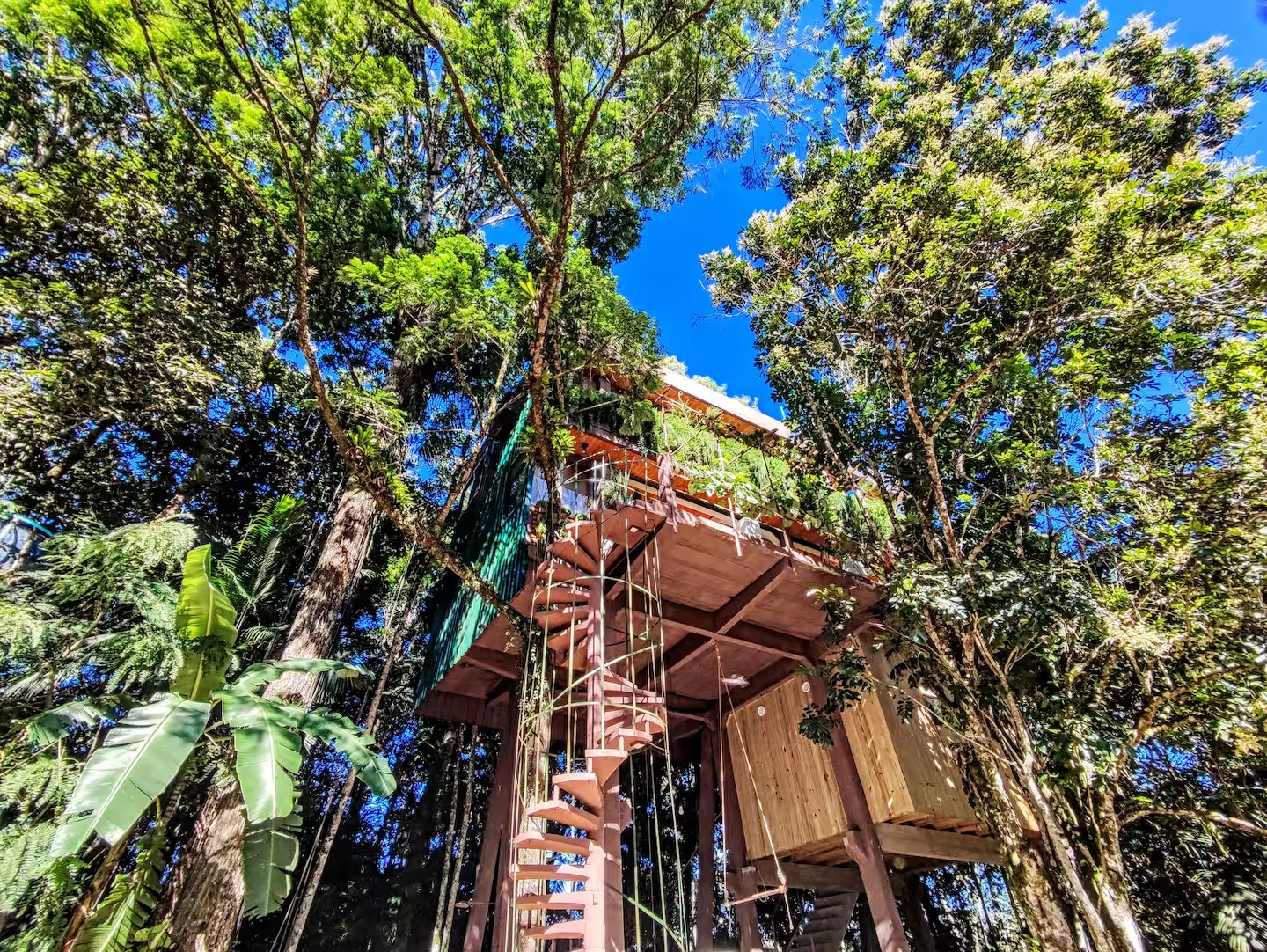 Hospedagem nas alturas: veja como é a casa na árvore mais charmosa de Jaraguá do Sul no Airbnb