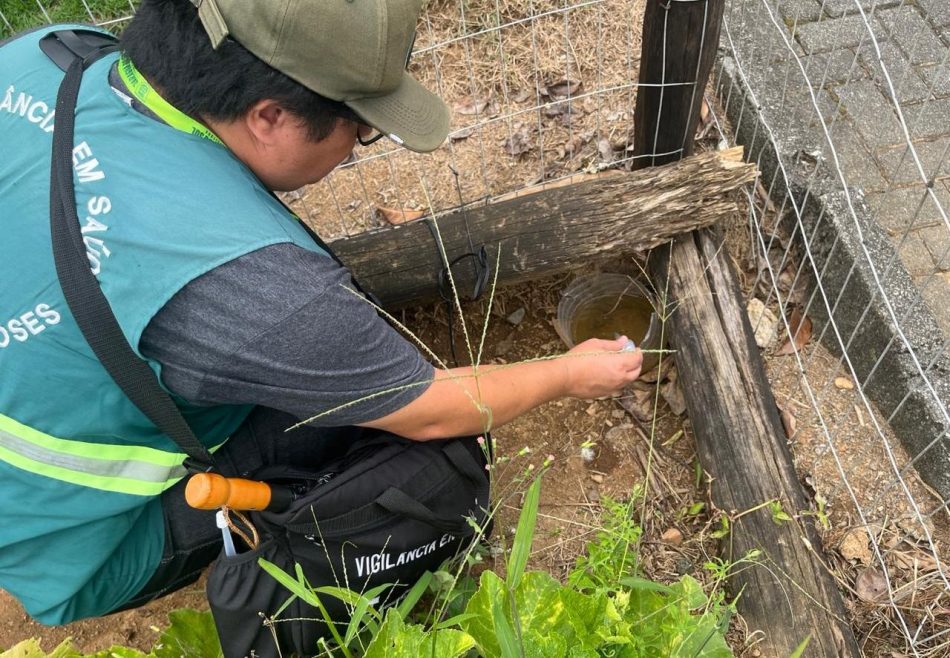 Casos de dengue despencam em Jaraguá, mas alerta continua