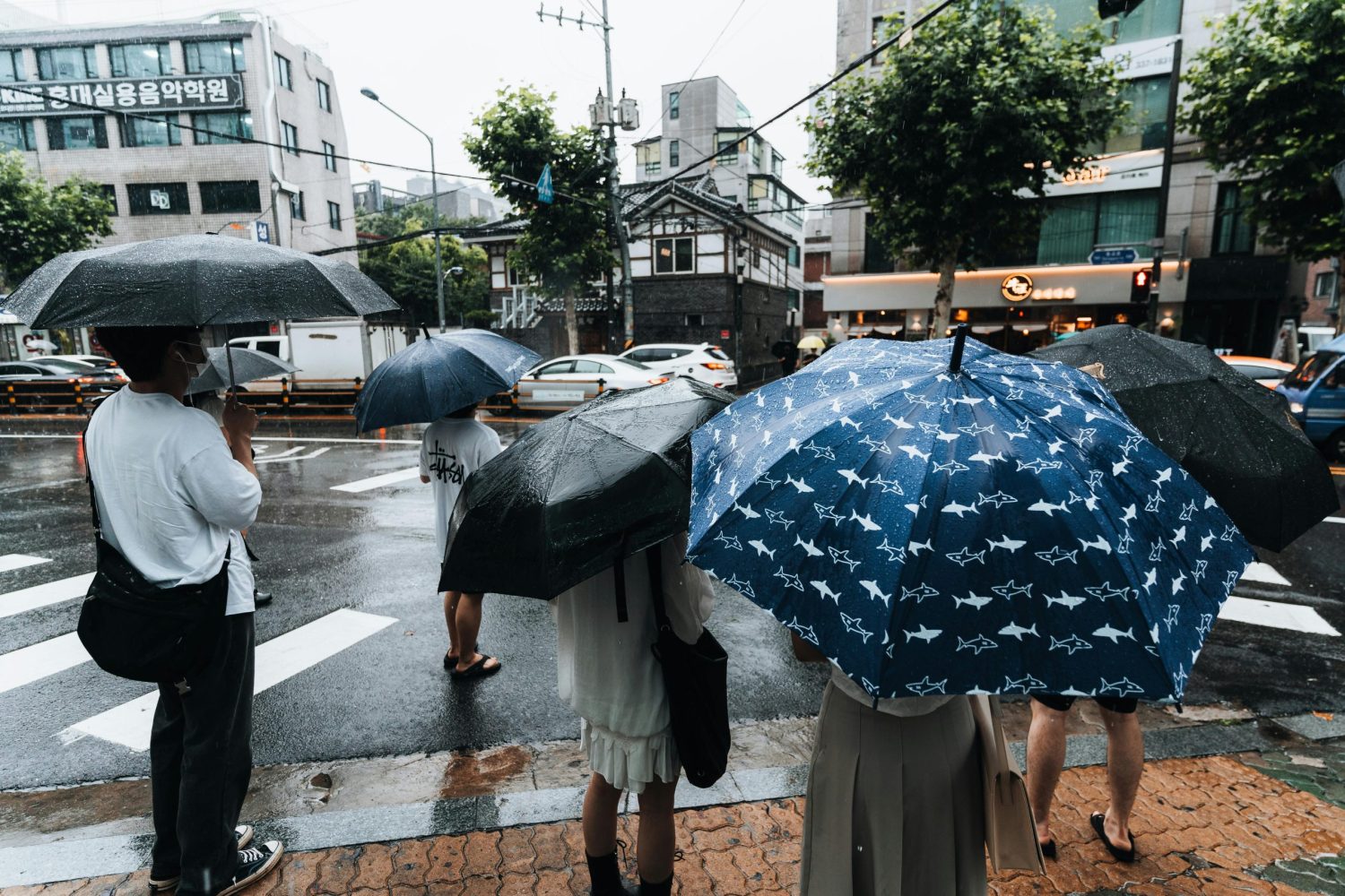 Sol, calor e temporais: previsão alerta para fim de semana instável em Jaraguá do Sul