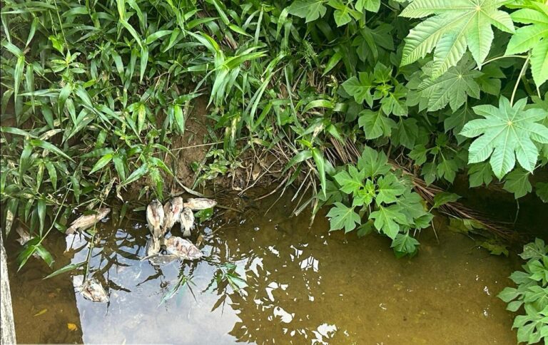 Fujama apura possível descarte irregular de resíduos no ribeirão Chico de Paulo
