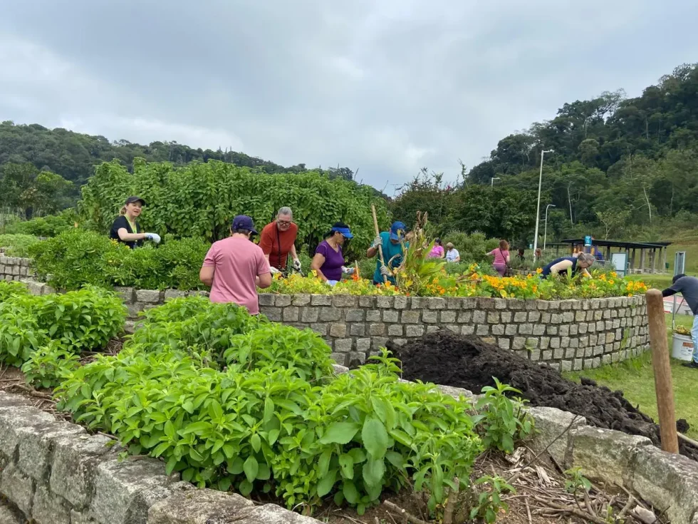 Jaraguá do Sul abre inscrições para atividade “Mandala Sensorial”