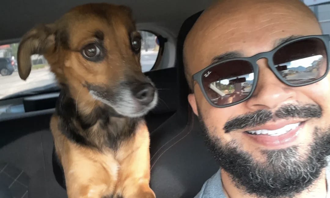 Final feliz para Madona! Família encontra cachorrinha que estava desaparecida em Jaraguá do Sul