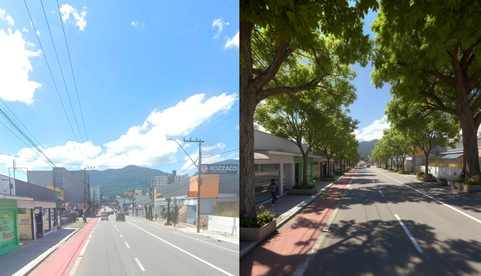 E se Jaraguá do Sul tivesse mais árvores? Veja 6 coisas que mudariam na sua rotina