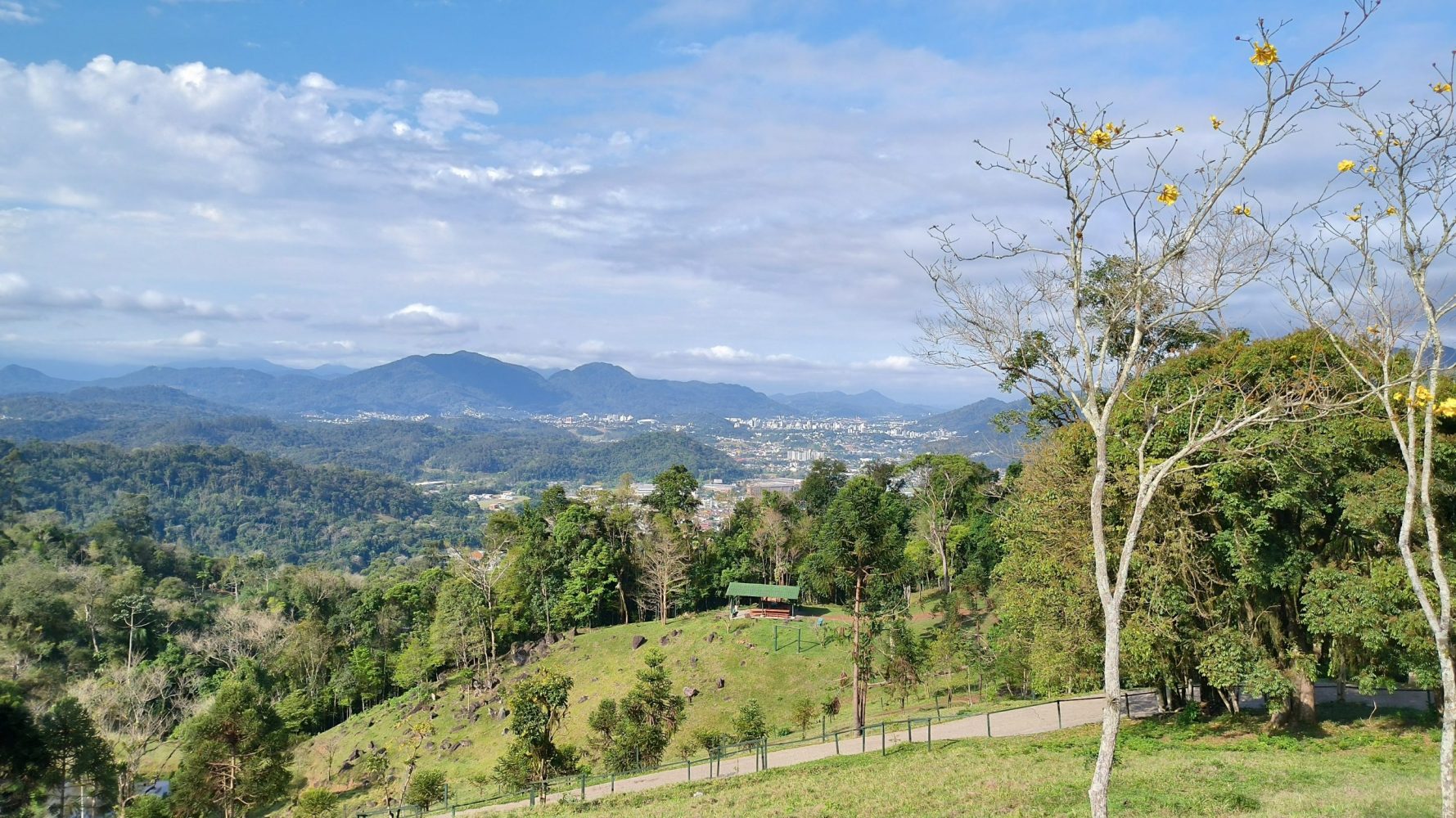 Chuva forte e calor: veja o que esperar da previsão do tempo nesta semana em Jaraguá do Sul