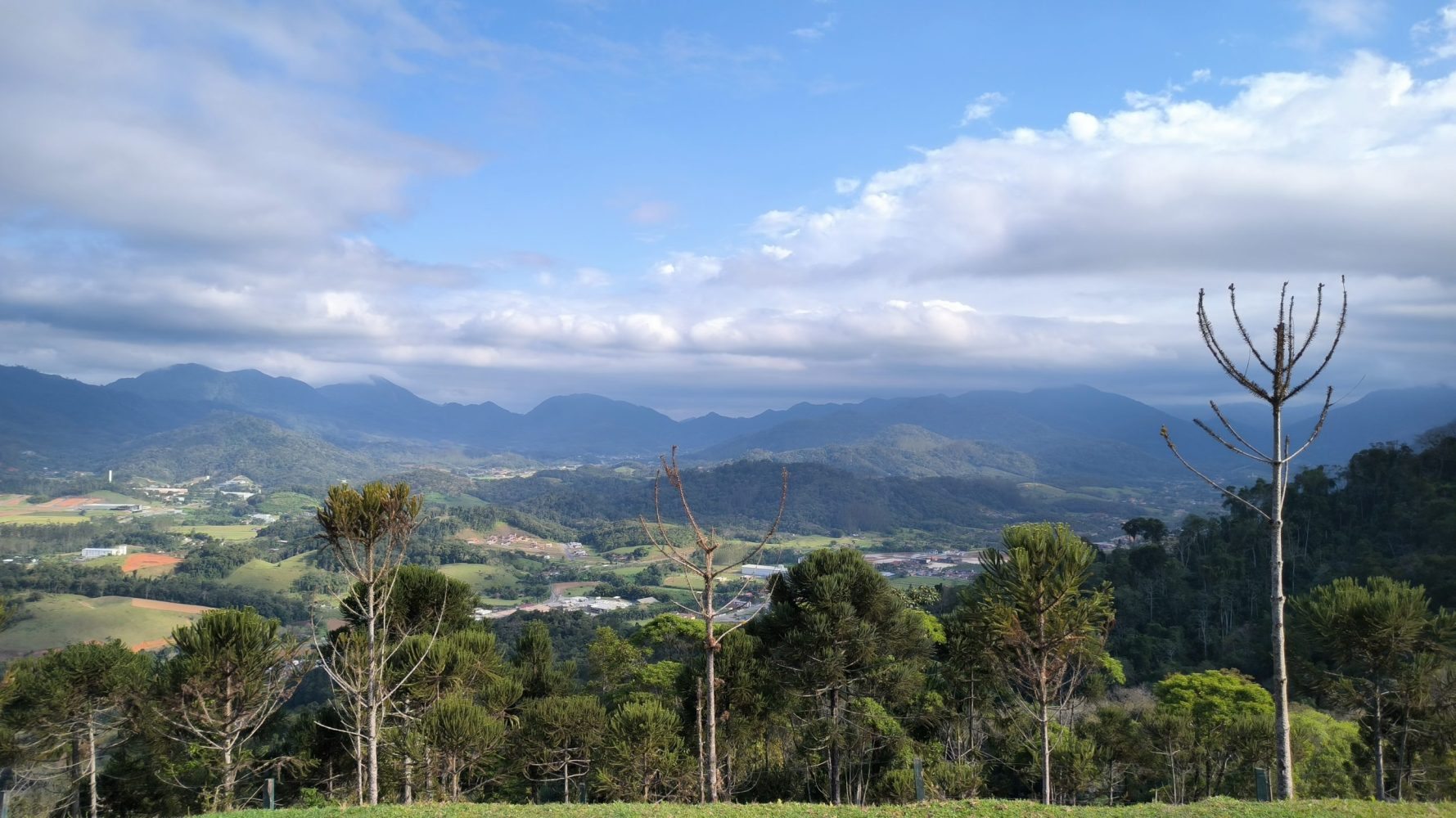 Previsão do tempo: chuva e calor devem marcar os próximos dias em Jaraguá; confira!