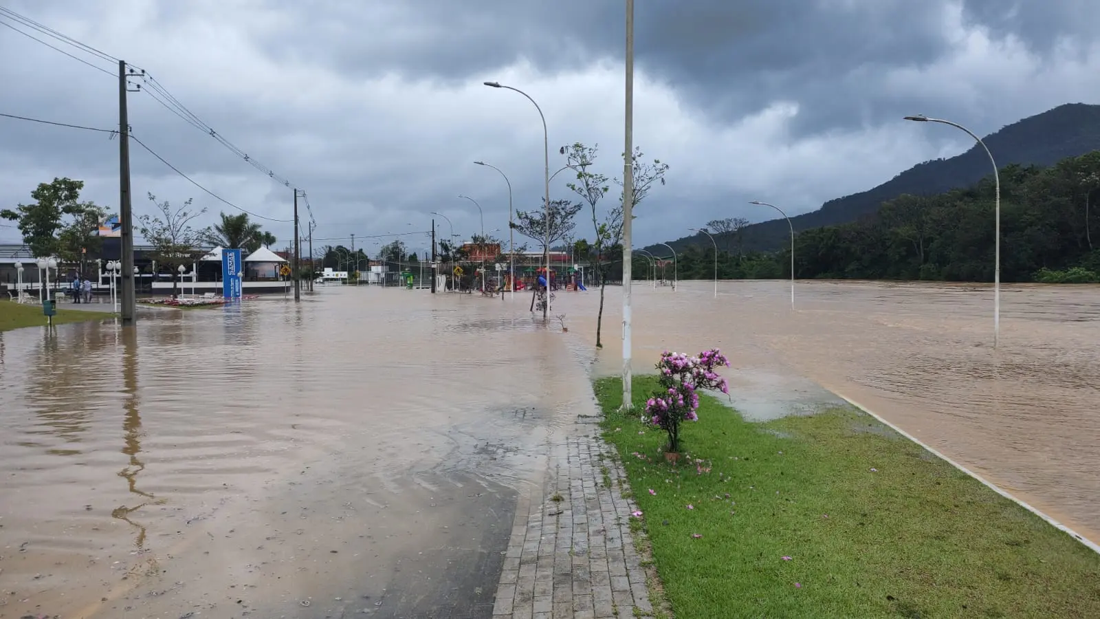 Você sabe como surgiu a Via Verde? A verdadeira história vai te surpreender