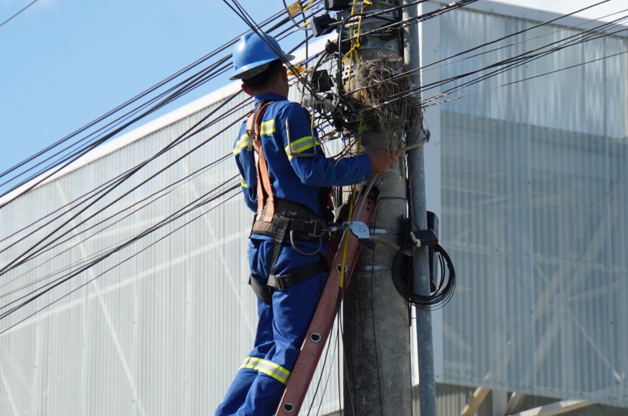 Barra Velha: Mutirão retira mais de 1,3 tonelada de fios