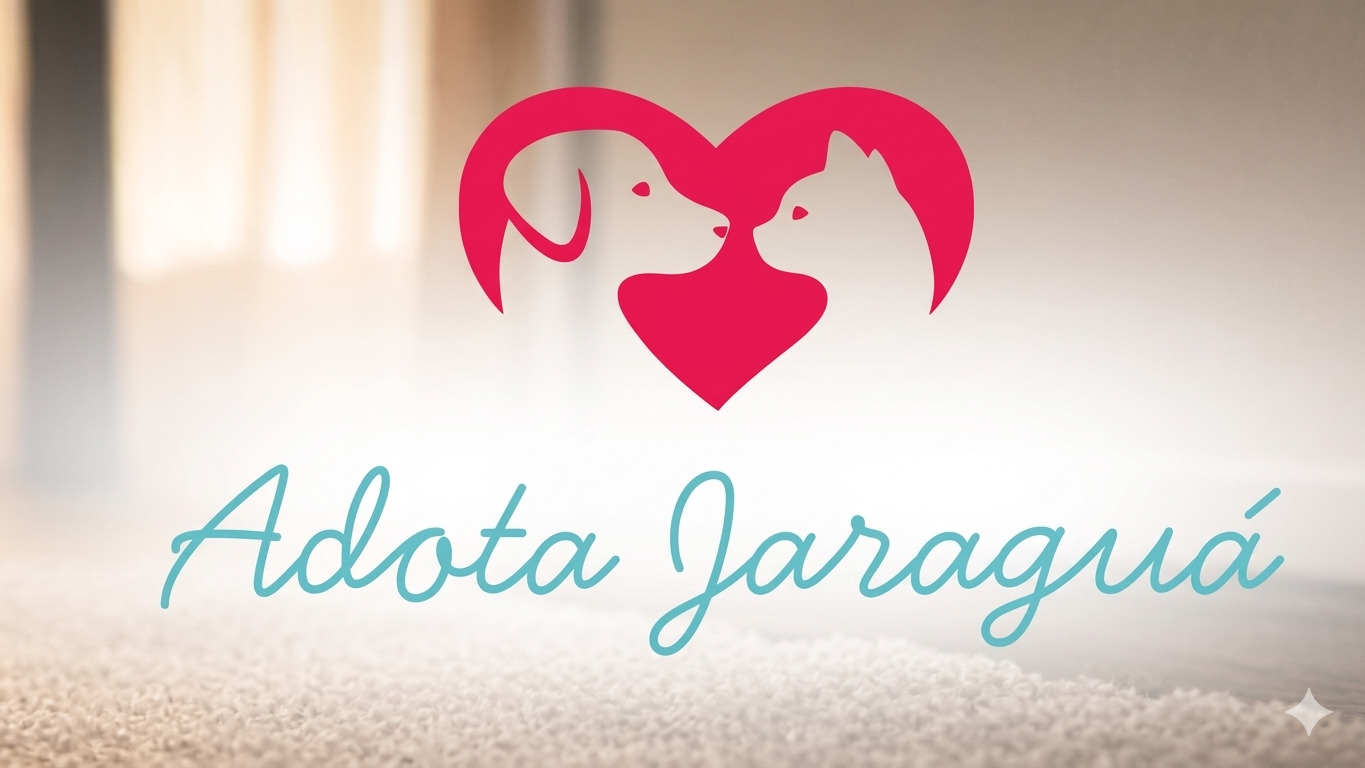 Quer adotar um pet? Novo site mostra cães e gatos à espera de um lar em Jaraguá e região