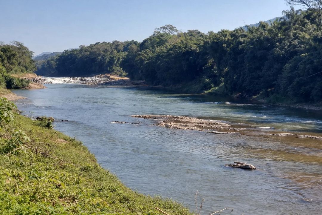 Da indústria ao café da manhã: quais setores mais utilizam as águas do Rio Itapocu?