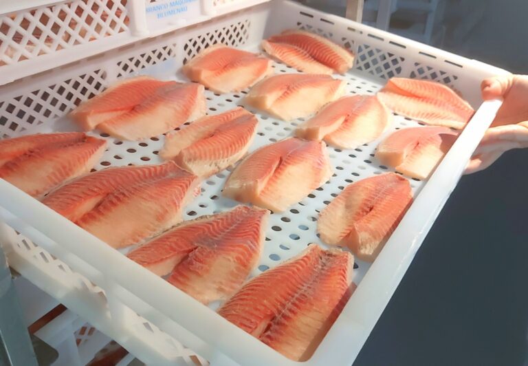 Piscicultura em Jaraguá do Sul pode gerar mais de R$ 6 milhões: conheça o projeto