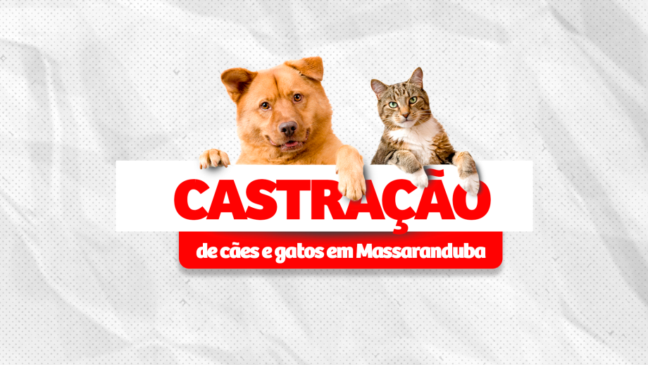 Castração gratuita em Massaranduba abre inscrições para cães e gatos; Saiba onde se inscrever!
