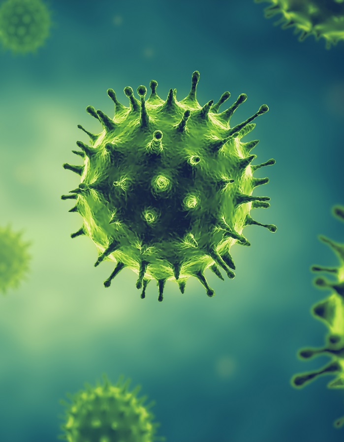 Crescimento de casos de gripe leva à suspensão de aulas em Corupá; confira os dias