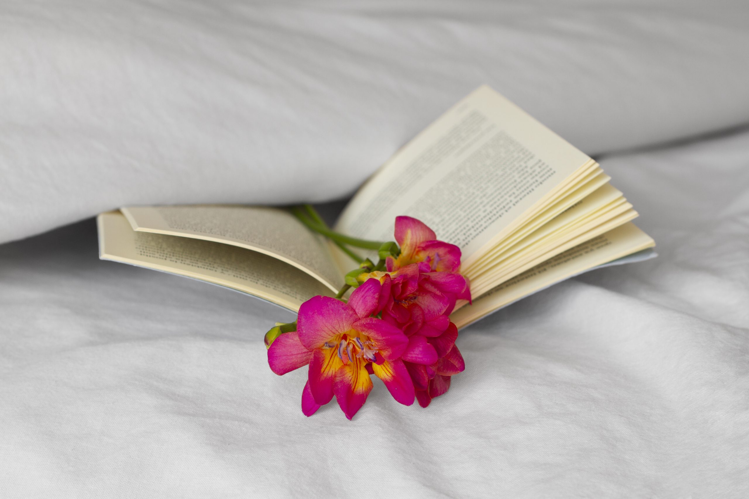 Livro transforma cicatrizes em sementes de esperança 