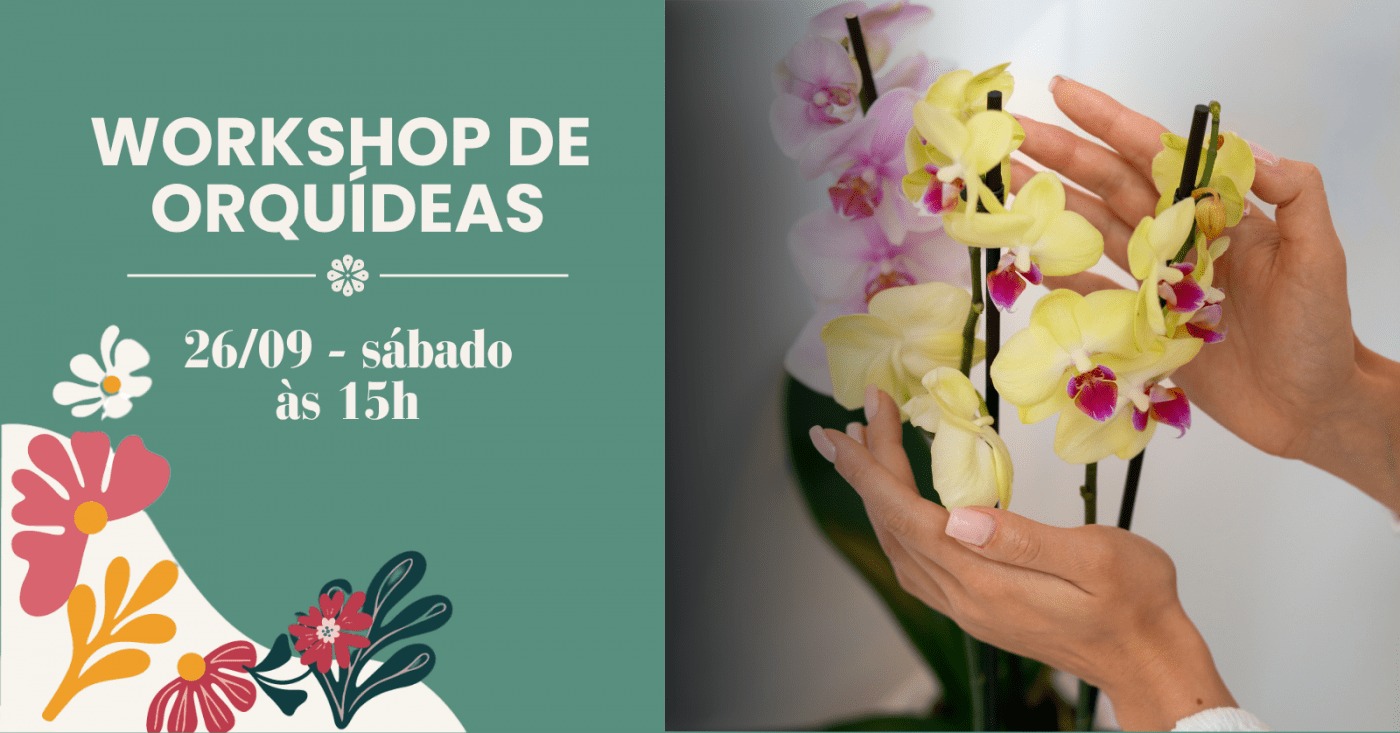 Workshop de orquídeas em Jaraguá do Sul ensina cuidados com a planta durante Festival da Primavera