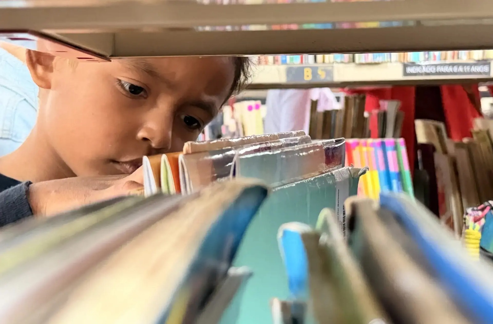 Semana do Livro começa nesta sexta em Jaraguá do Sul com atrações para todas as idades; veja o que está previsto