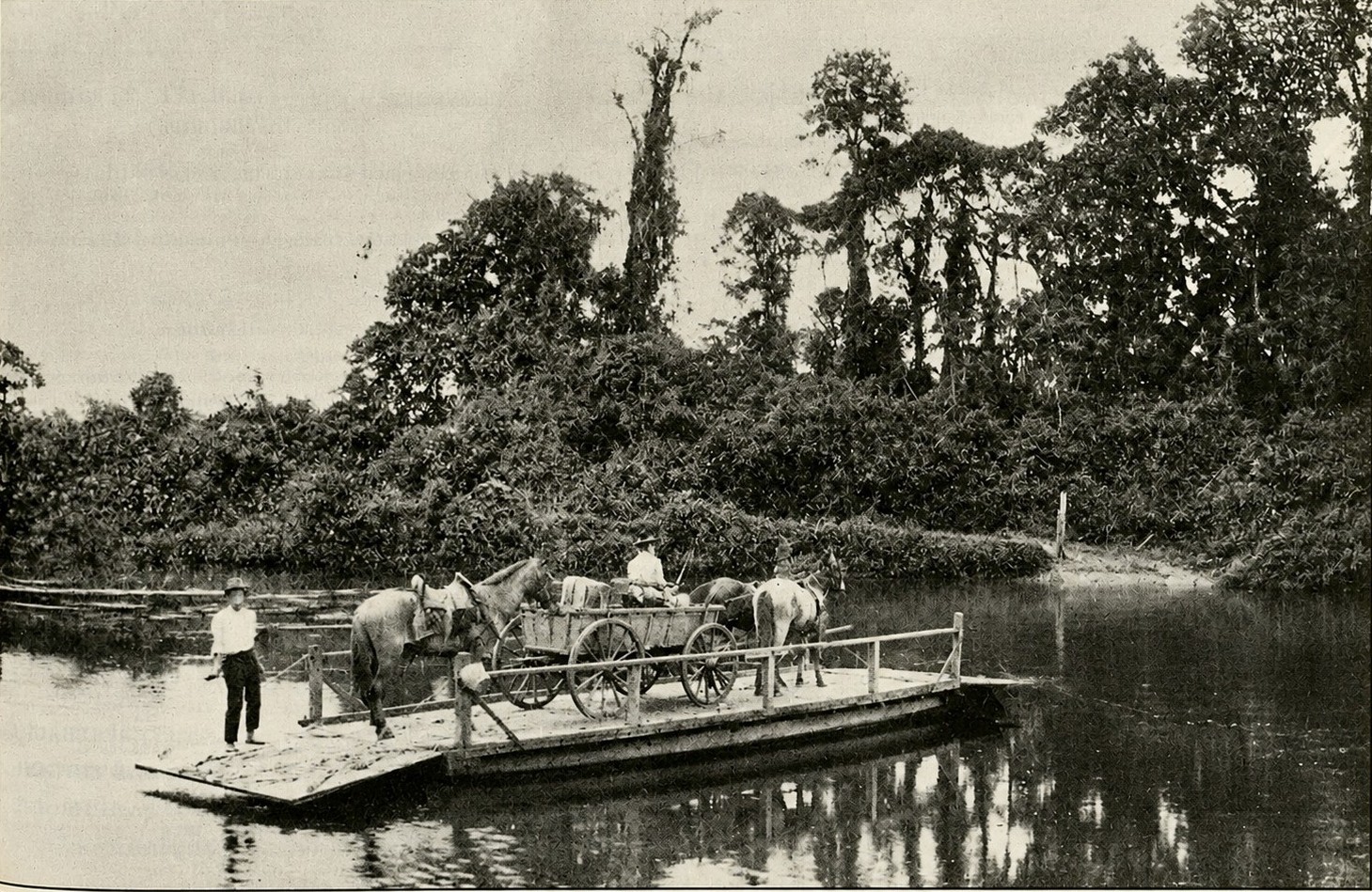 Por que o Centro de Jaraguá do Sul era chamado de Margem do Capim no fim do século 19?